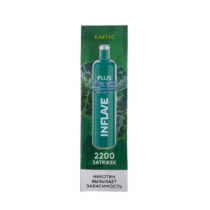 inflave-plus-2200-cactus