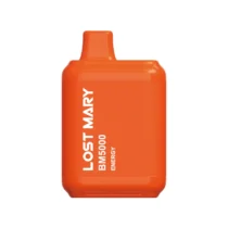lost-mary-bm5000-energy-(energy)
